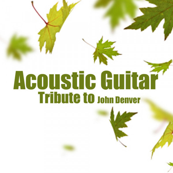 Follow Me (Acoustic Guitar) Cover