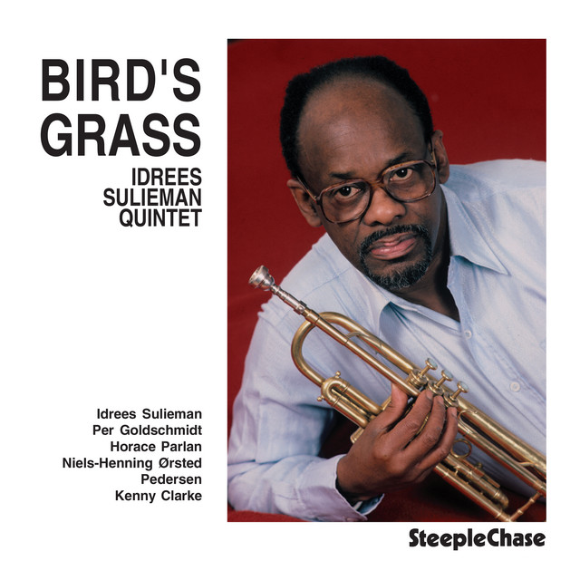 Bird's Grass cover art