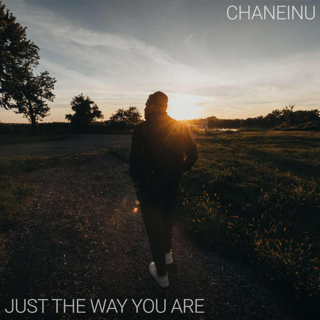 Chaneinu / Just The Way You Are album image
