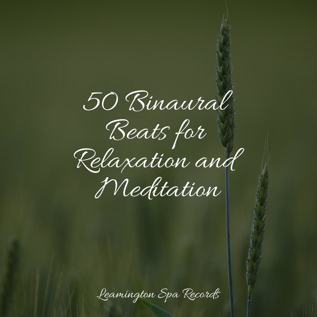 50 Binaural Beats for Relaxation and Meditation - Album by Deep Sleep ...