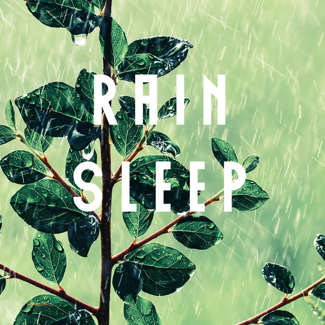 Rain Sleep cover art