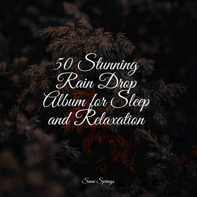 50 Stunning Rain Drop Album for Sleep and Relaxation - Album by Music ...