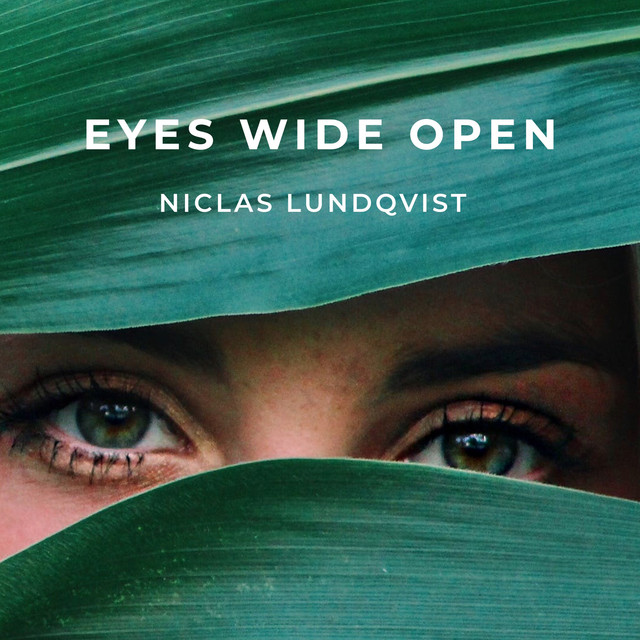 Eyes Wide Open cover art