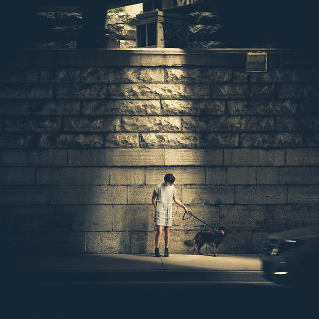 Dog cover art