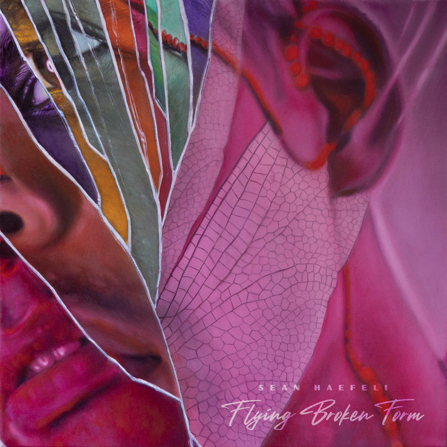 Flying Broken Form cover art