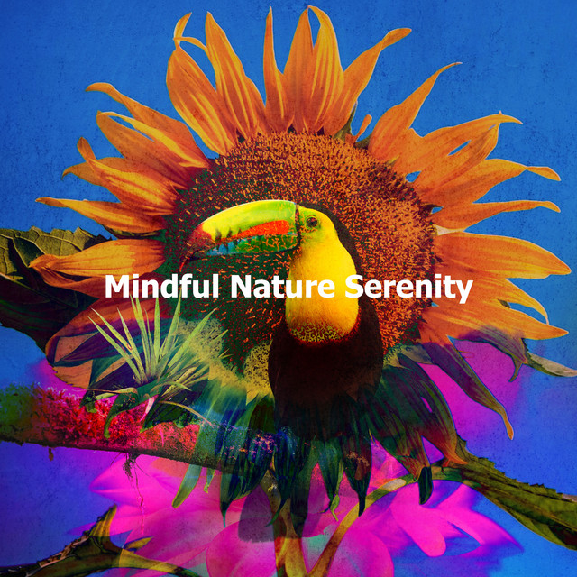 Mindful Nature Serenity cover art