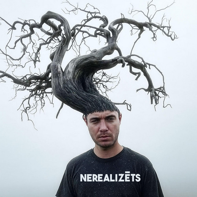 Nerealizēts cover art
