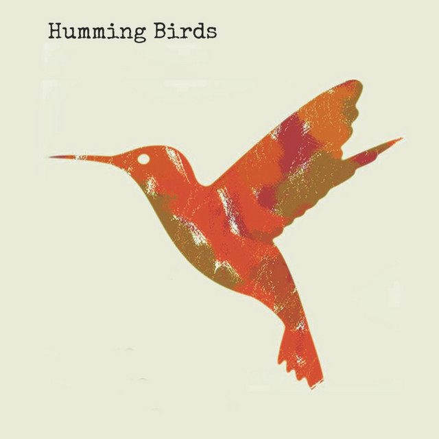 HUMMING BIRD Photo