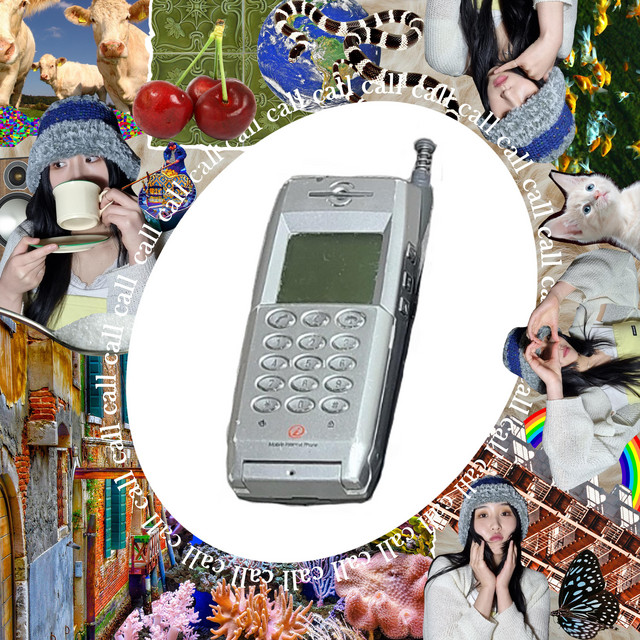 Call cover art