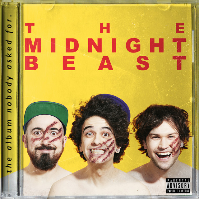 The Album Nobody Asked For. cover art