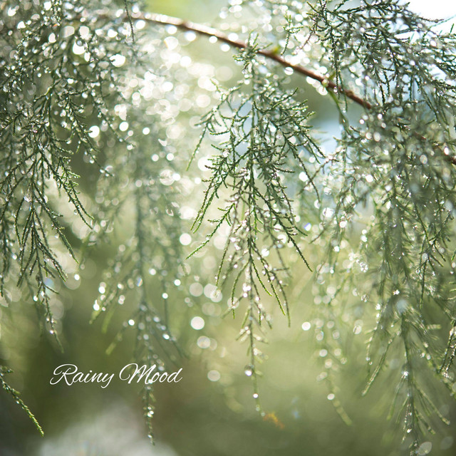 Обкладинка: Rainy Morning — Lesfm
