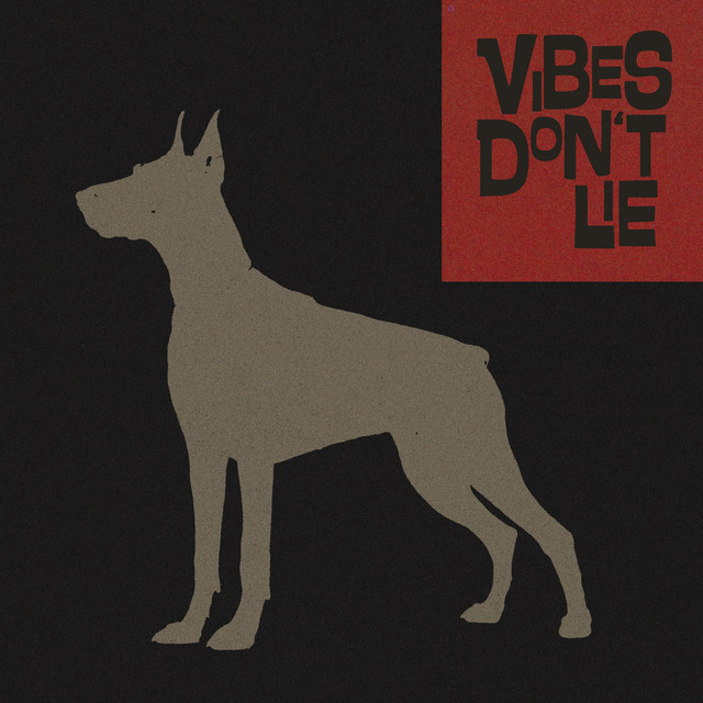 Vibes Don't Lie