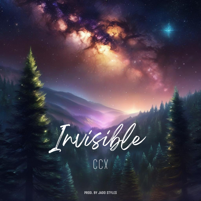 Invisible cover art
