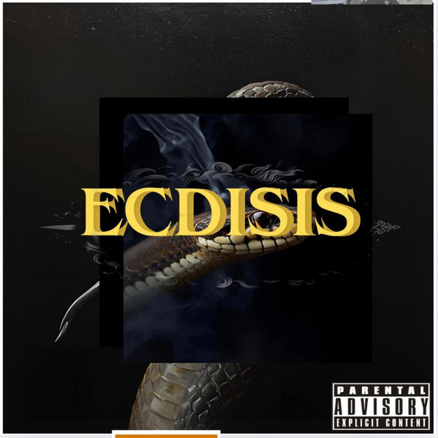 ECDISIS