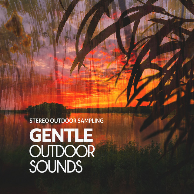 Gentle Outdoor Sounds - Album by Stereo Outdoor Sampling | Spotify