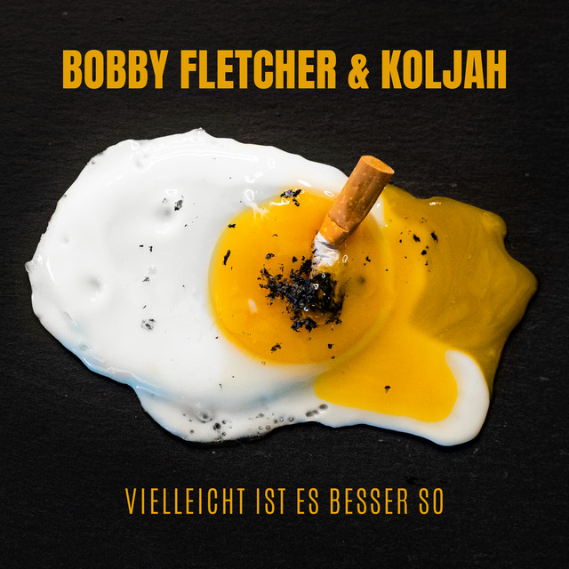 Vielleicht ist es besser so cover art