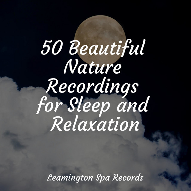 50 Beautiful Nature Recordings for Sleep and Relaxation - Album by Yoga ...