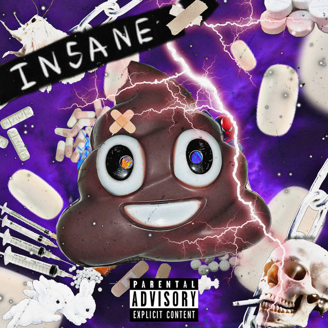 INSANE cover art