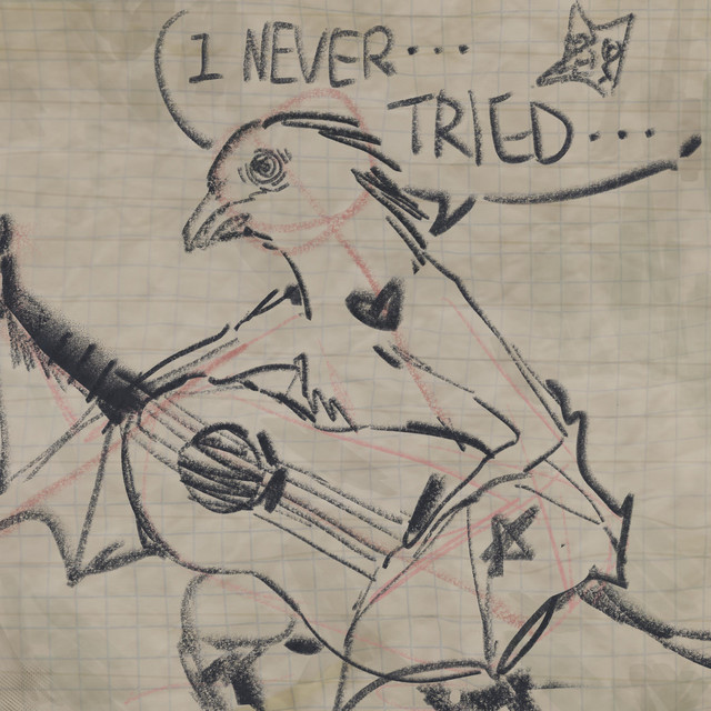 I Never Tried.