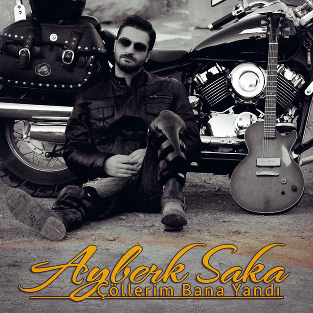 Ayberk Saka