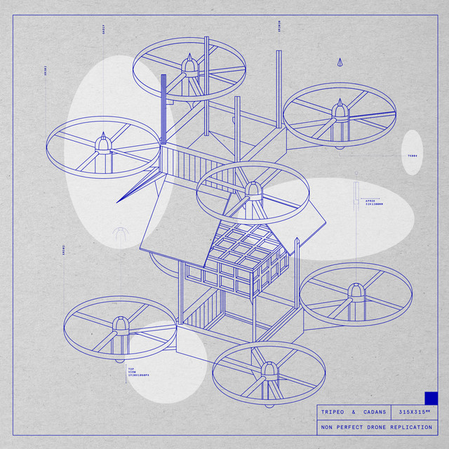 Non Perfect Drone Replication cover art