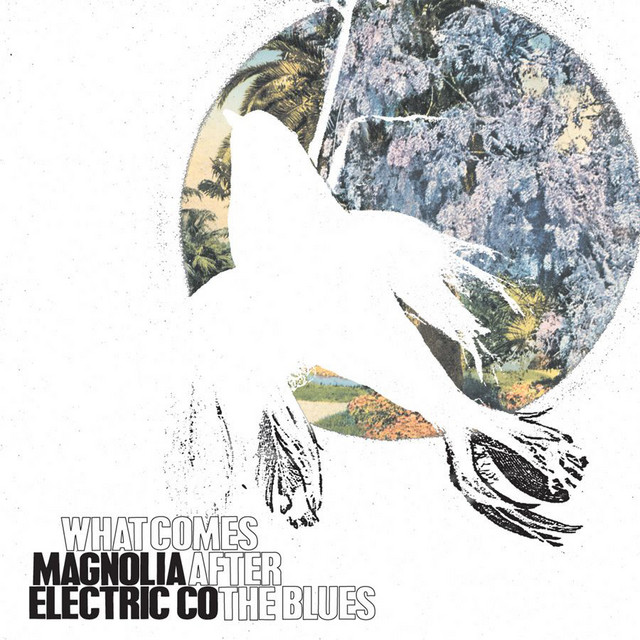 Omslag för What Comes After The Blues? av Magnolia Electric Co.