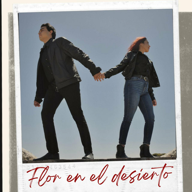 Grupo 4y1