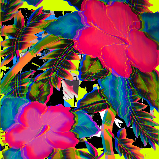 Typo Landscape cover art