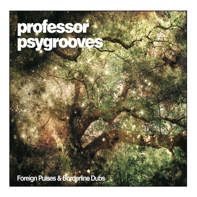 Pochette du titre Basement Groove