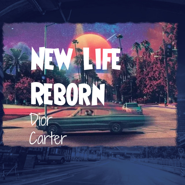 NEWLIFE Reborn cover art