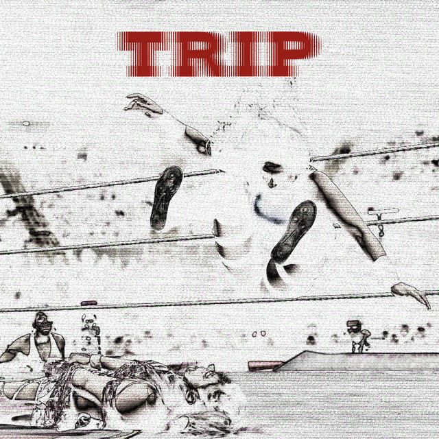 Trip