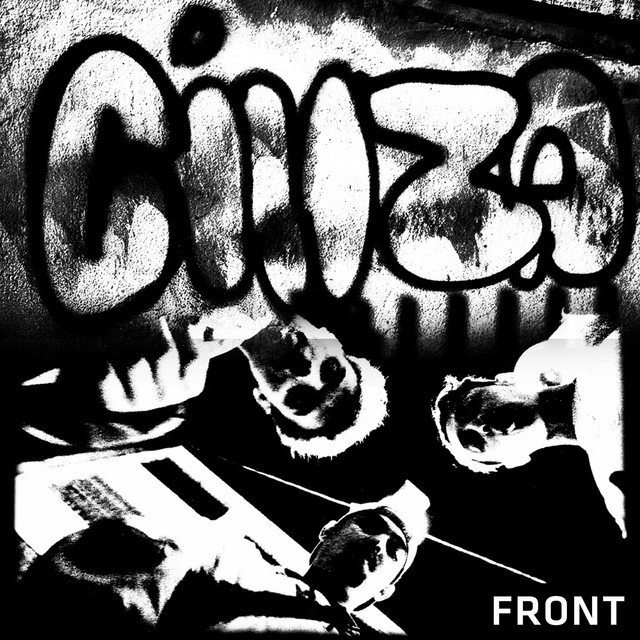 Cinza cover art