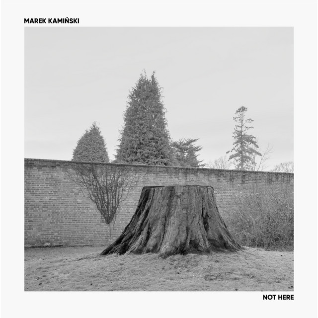 Not Here cover art