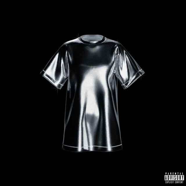 Camisa Larga cover art