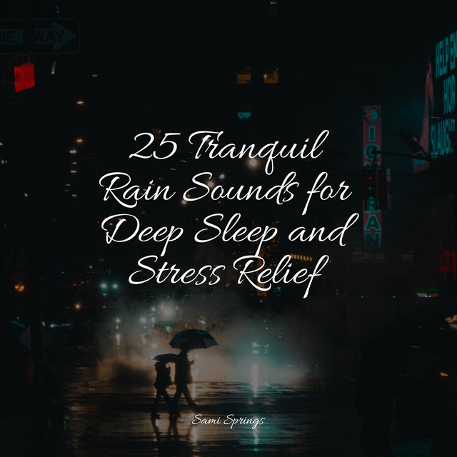 25 Tranquil Rain Sounds for Deep Sleep and Stress Relief - Album by ...