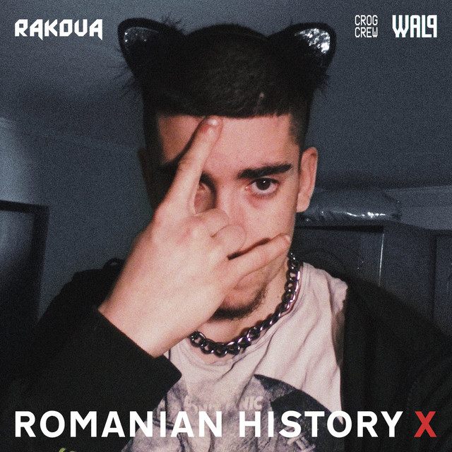 Romanian History X cover art
