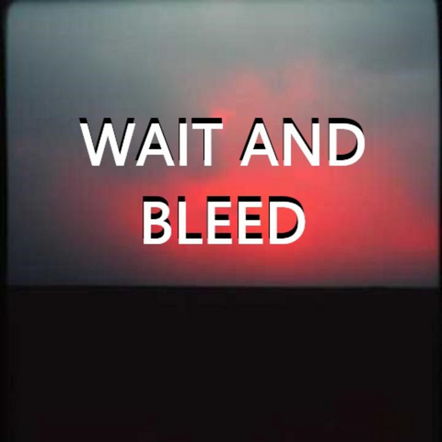 WAIT AND BLEED cover