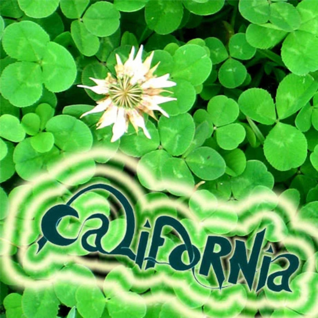 California Rocks