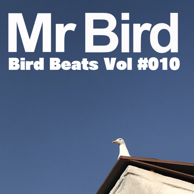 Bird Beats Vol #010 cover art