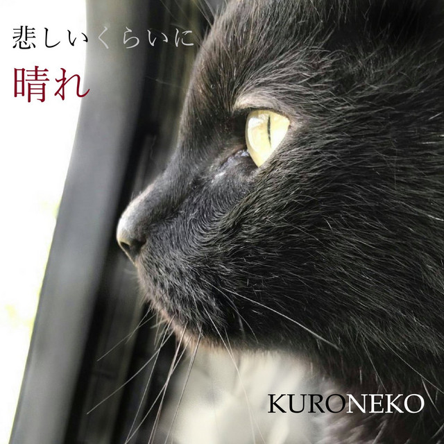 Kuroneko Photo