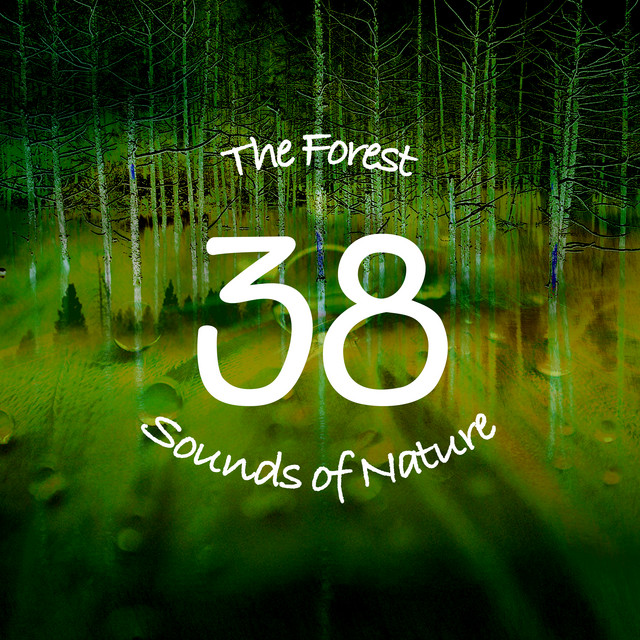 The Forest - 38 Sounds of Nature cover art