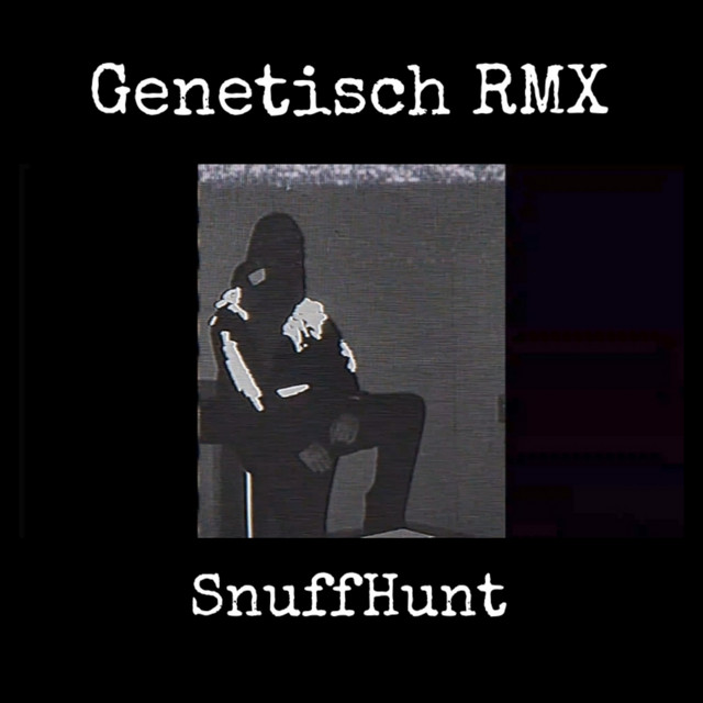 Genetisch (Remix) cover
