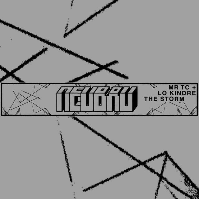 The Storm cover