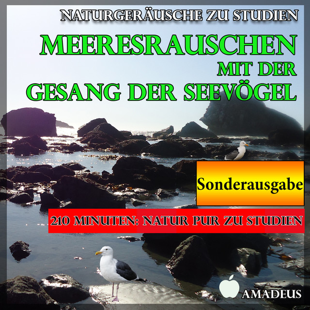 Naturgeräusche zu Studien: Meeresrauschen mit der Gesang der Seevögel: Sonderausgabe cover art