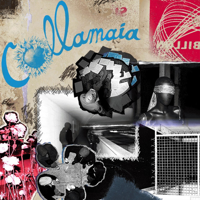 Collamaia cover art