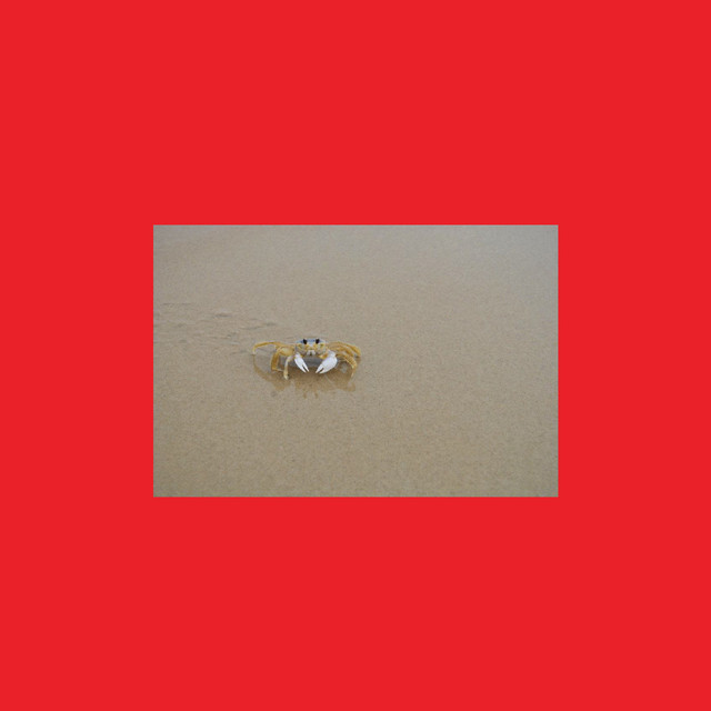 Pissy Pamper (They Tryna Be Cray) cover art