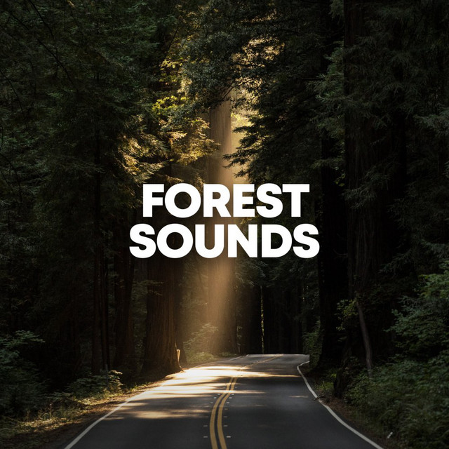 Forest Sounds cover art
