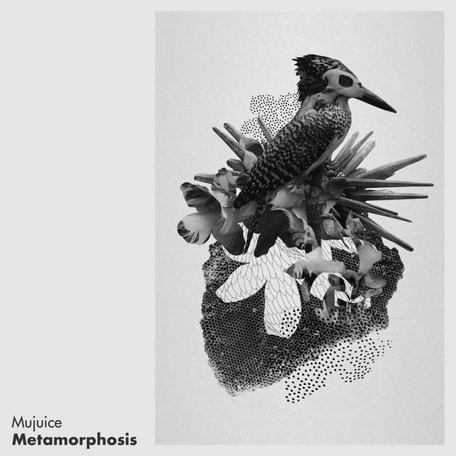 Metamorphosis cover art