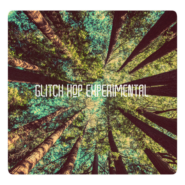Glitch Hop Experimental cover art