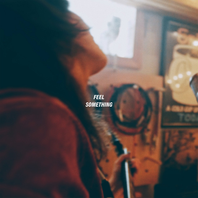 Feel Something cover